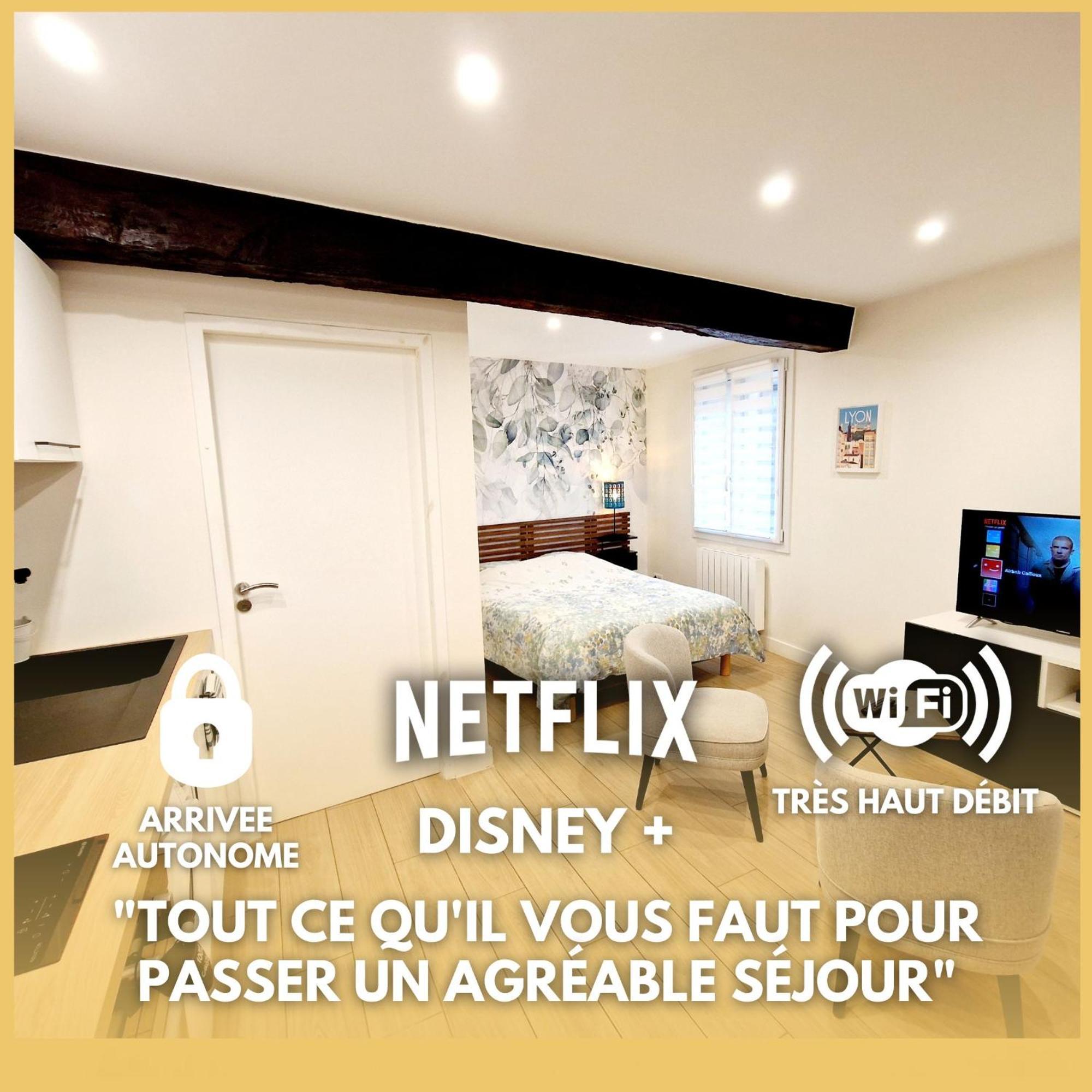 Studio Entierement Equipe Cailloux-sur-Fontaines Exterior photo